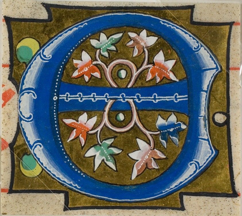 Decorated Initial "E" with Flowers from a Choir Book, Art Institute of Chicago