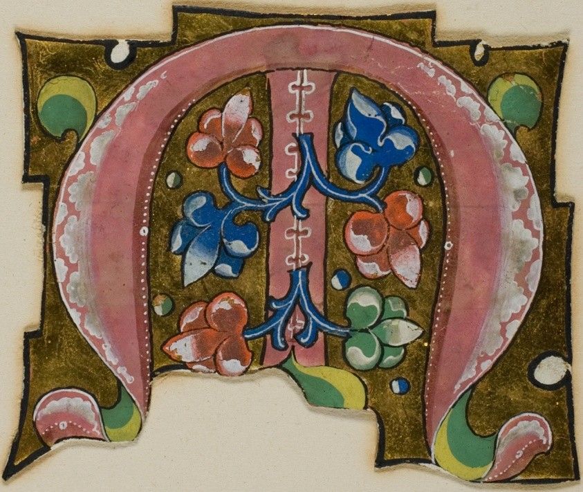 Decorated Initial "M" in Pink with Conventional Leaves from a Choir Book, Art Institute of Chicago